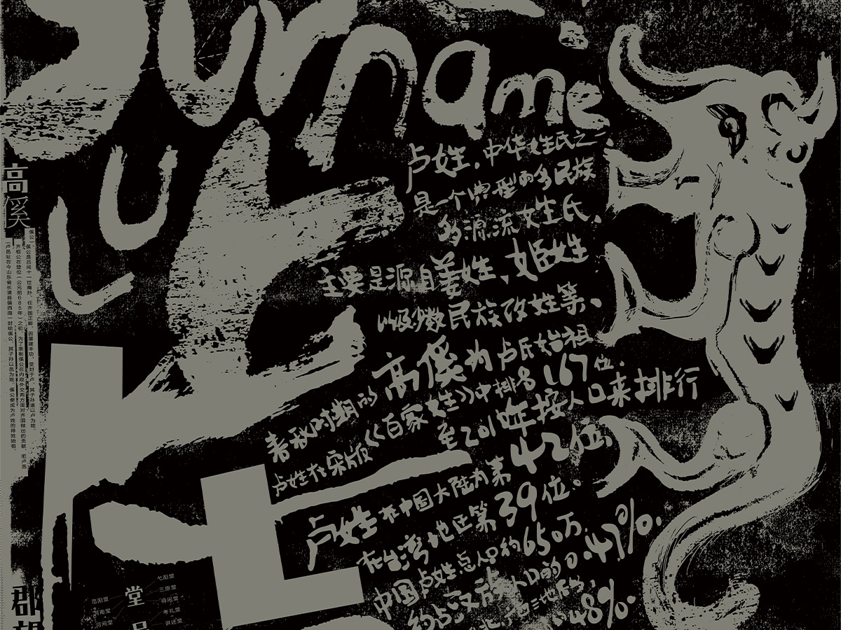 盧姓起源/文化海报设计